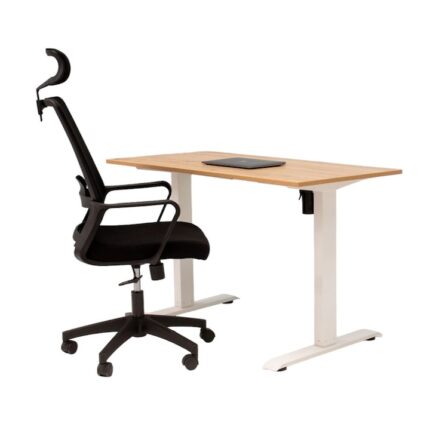 Birou electric IntelliDesk 2 motoare