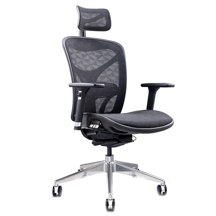 Scaunul de birou ergonomic Hansen Plus