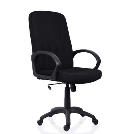 Scaun de birou ergonomic Legend