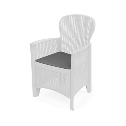 Set 2 Scaune de gradina Progarden, alb, poliratan, 60 x 89 x 58 cm