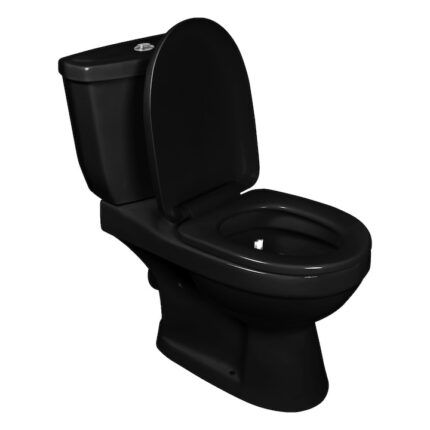 Vas WC/Toaleta cu rezervor inclus, vidaXL, Ceramica, Negru, 70 x 39 x 76 cm, capac softclose