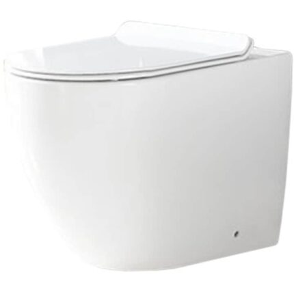 Vas toaleta de podea Carlo Rimless Duroplast