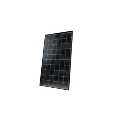 Panouri fotovoltaice sticla-sticla, Solarwatt, 60M 320 w 20 buc