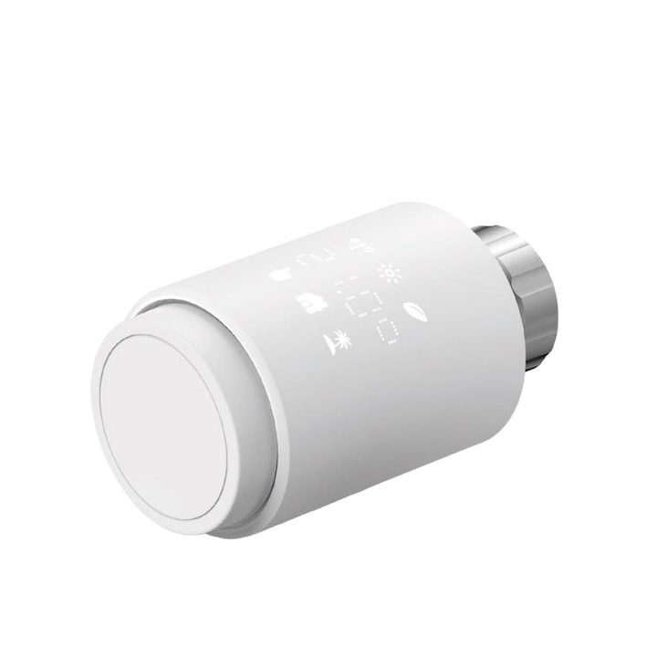 Cap termostatic, GISE