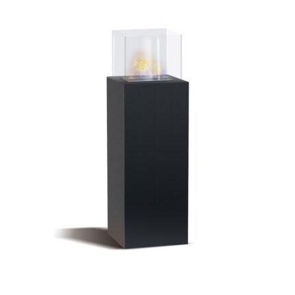 Semineu de sine statator cu bioetanol, Frankystar, 40 x 40 x 112 cm, Negru