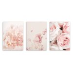 Postere pentru peretele livingului, Flori roz bujori 3x 50x70cm