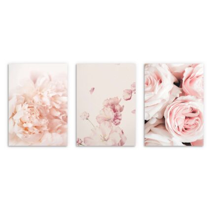Postere pentru peretele livingului, Flori roz bujori 3x 50x70cm