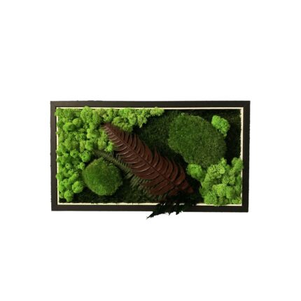 Tablou cu muschi, licheni si plante stabilizate 43x24 cm, Licheni ART
