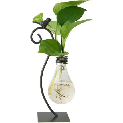 Vaza de hidroponie pentru plantator, Wallalla, Sticla/Fier, Negru/Transparent