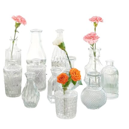 Set 12 de mini vaze din sticla, pentru Decorarea Nuntii Rustice