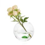 Vaza decorativa Balvi, Atlantis, Sticla, Testoasa, Transparent/Verde