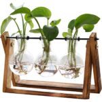 Set 3 vaze cu suport, Sticla/Lemn, 9.5x7cm, Transparent/Maro