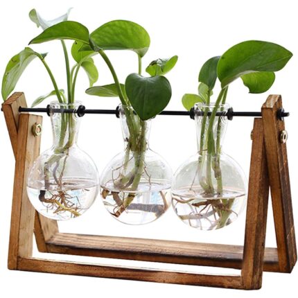 Set 3 vaze cu suport, Sticla/Lemn, 9.5x7cm, Transparent/Maro