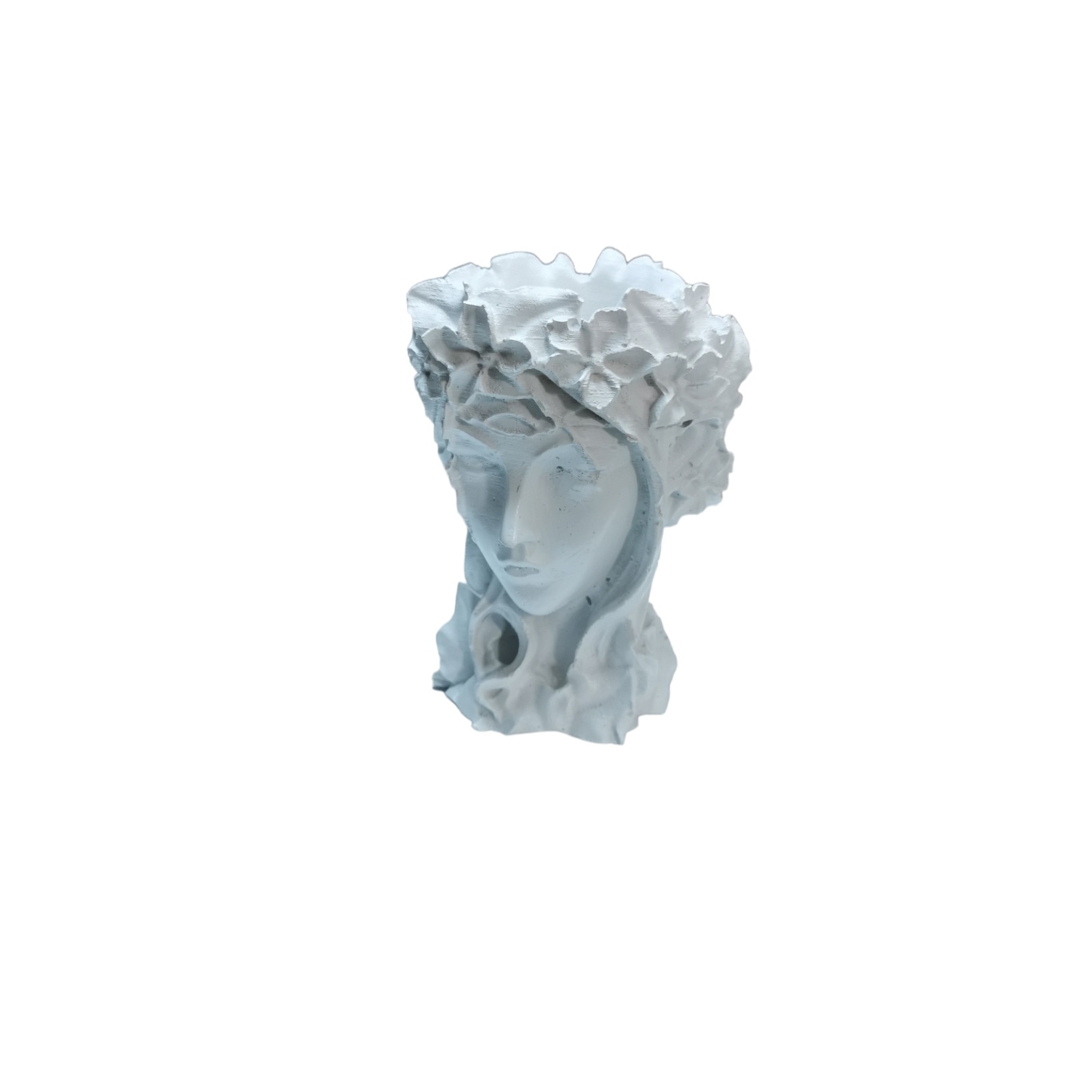 res_bc6254f6f1eaacfafc9dd1a83c9d5dbb Vaza Malea alba, 11 x 15 cm