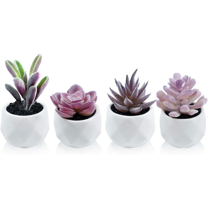 Set 4 Plante Artificiale in Ghiveci, NUODWELL, Succulent, ceramic flower pot, 9.5 X 7cm, UV-resistant, no need to take care of, lifelike shape, Material PVC, potrivit pentru dormitor, living, camera de studiu, birou, alb