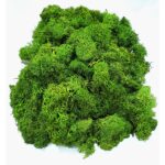 Lichen naturali stabilizati alesi si curatati pentru decoratiuni hand made, 100g, verde inchis