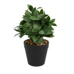 Aranjament In Ghiveci Negru, Verde, Plastic, 20Cm