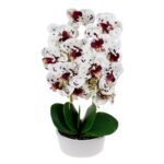 Orhidee 3 fire cu aspect natural in ghiveci oval ceramica alb, H 50 cm / CD4695_Alb-Grena
