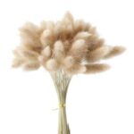 Pachet de 50 de flori uscate decor iarba pampas pentru decoratiuni interioare de nunta