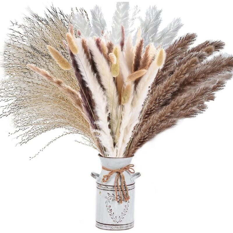 Buchet de 73 fire pampas Sunshine Smile, flori uscate, alb/maro, 43 cm