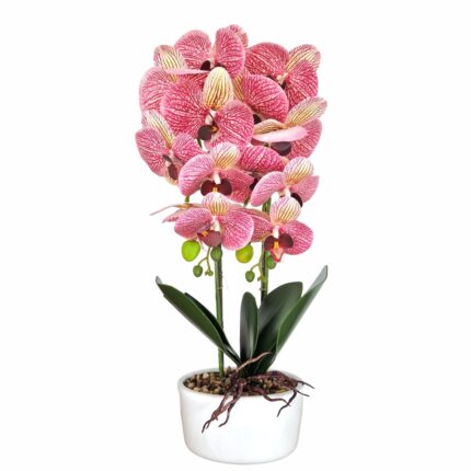 Orhidee cu aspect natural in ghiveci ceramic, 50 cm, Naimeed D5819, Mov