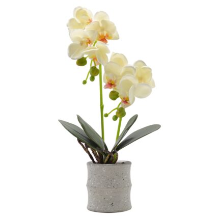 Orhidee cu aspect natural in ghiveci ceramic, 35 cm, Naimeed D4849, Galben