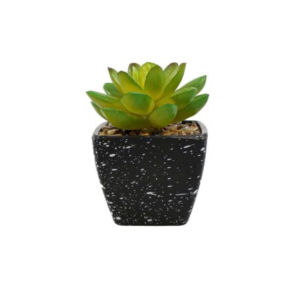 Planta Suculenta Artificiala in Ghiveci Negru, Verde, Plastic, 9Cm
