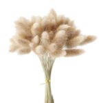 Set 90 bucati pampas grass natural, Uscat, 55 cm, Multicolor