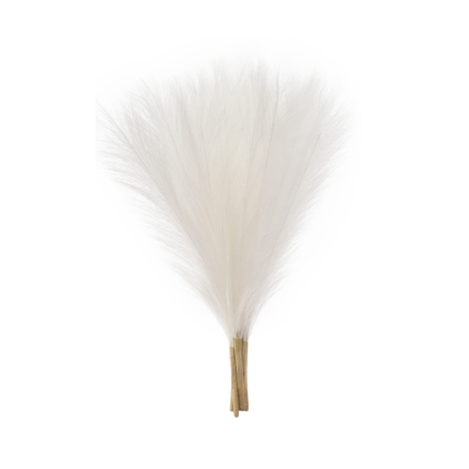 Set 3 Fire Iarba de Pampas Artificiala pentru, Amenajari si Decoratiuni Interioare, Material de Calitate Premium, Matase Fina, Inaltime 43.5 cm Alb Cocos, CBD CORAL BEST DEALS