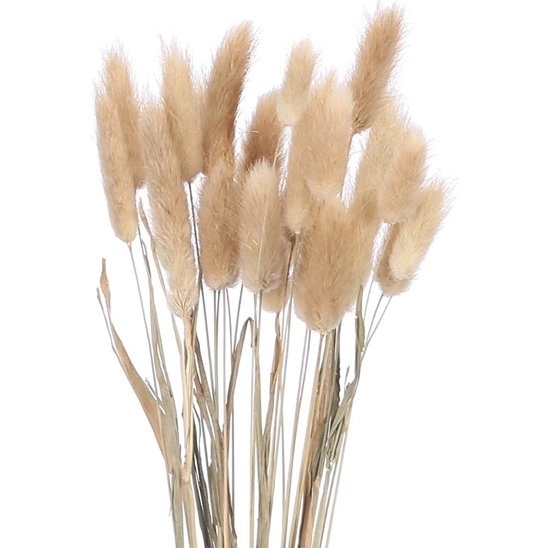 Buchet flori uscate, Pampas, 60 fire, Utilizare interior/exterior, Bej