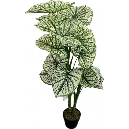 res_6e4186b2f051e90a295917a69732c32f Planta artificiala, Caladium cu aspect natural, 120 cm