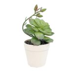 Aranjament Floral Artificial in Ghiveci Alb, Verde, Plastic, 17Cm