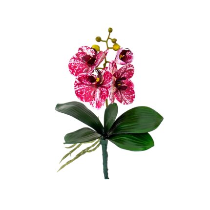 Fir orhidee + frunze, inaltime 30cm / CD4501_G