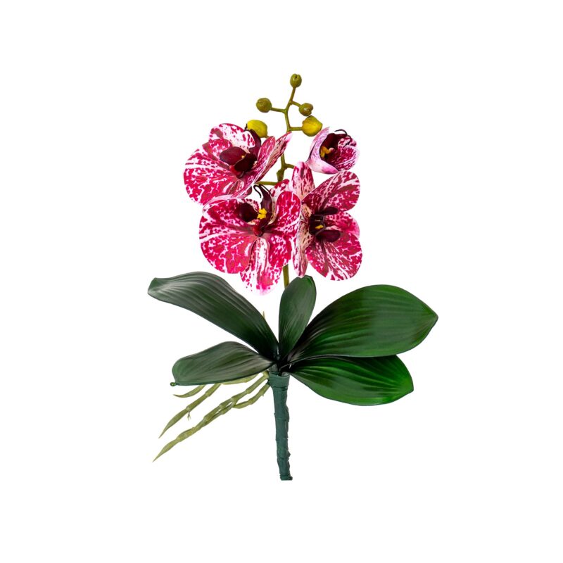 Fir orhidee + frunze, inaltime 30cm / CD4501_G
