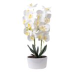 Orhidee 3 fire cu aspect natural in ghiveci oval ceramica alb, H 50 cm / ORH 4695-ALB