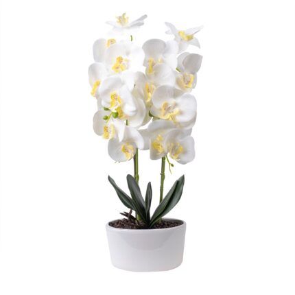 Orhidee 3 fire cu aspect natural in ghiveci oval ceramica alb, H 50 cm / ORH 4695-ALB