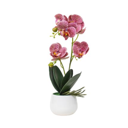 Orhidee cu aspect natural in ghiveci ceramic alb, H 38 cm/ CD4560-multicolor