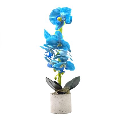 Orhidee cu aspect natural in ghiveci ceramic, 36 cm, Naimeed D4850, Albastru