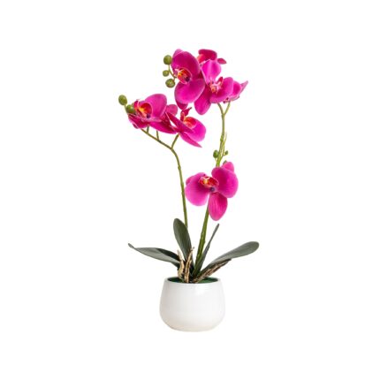 Orhidee cu aspect natural in ghiveci ceramic alb, diametru 10cm, H 42 cm / CD5146_Fucsia