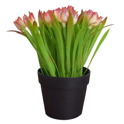 Aranjament floral artificial, in ghiveci, Naimeed D4953, Rosu, 19cm