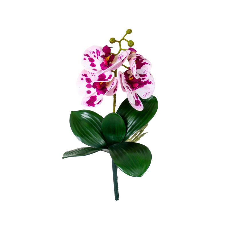 Fir orhidee + frunze, inaltime 30cm / CD4501_P