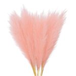 Set de 10 bucati de iarba pampas artificiala, Edibazzar, Roz, 55cm