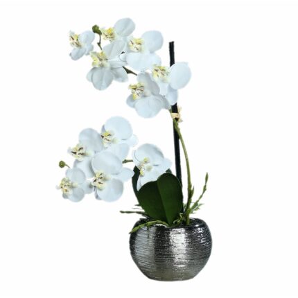 Orhidee Phalaenopsis alba in vas ceramic, 30 cm