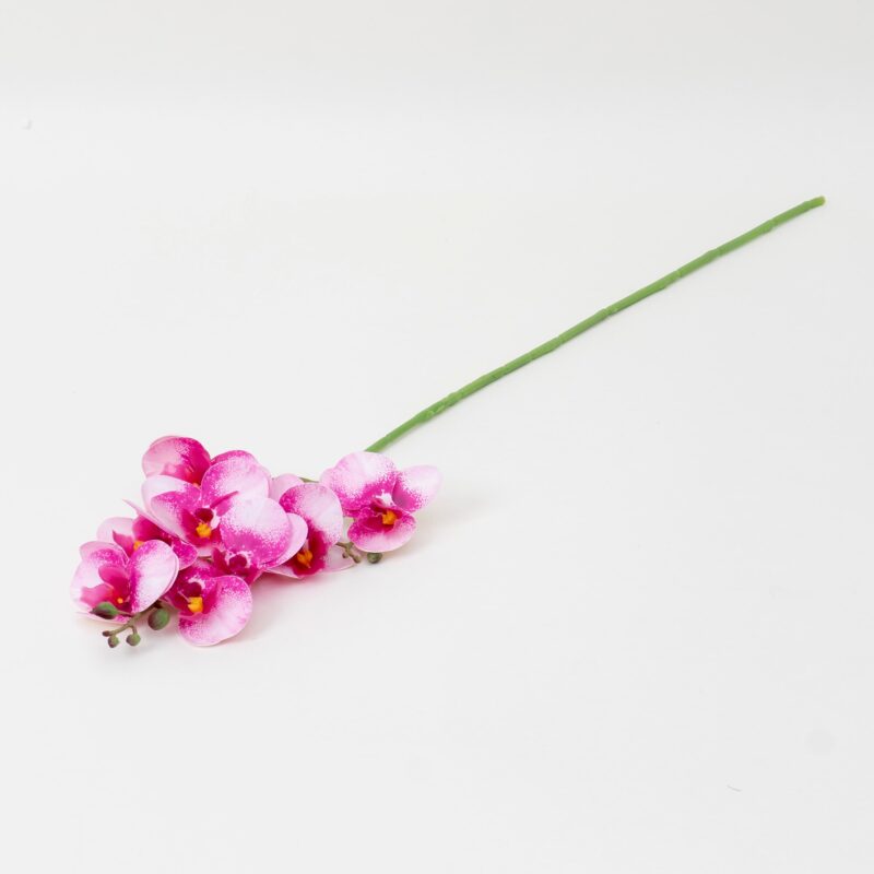 Fir orhidee artificiala cu 8 flori, H 75 cm, B.S.P. / CD5024_1