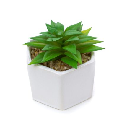 Planta suculenta artificiala in ghiveci F419-308-4 Pami Flower 5x6.5 cm Verde