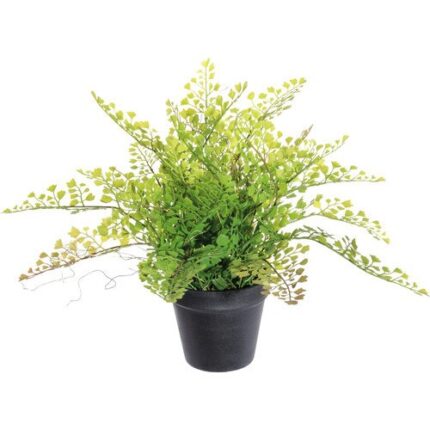 Planta Artificiala Adiantum In Ghiveci H 40 Cm Verde