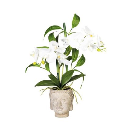 Aranjament Artificial Orhidee Vas Buddha H 60 cm Alb