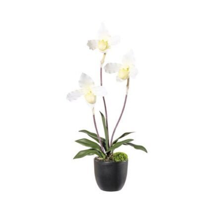 Planta Artificiala Cypripedium In Vas H 45 Cm Crem/verde