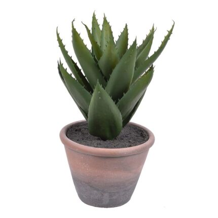 Ghiveci decorativ cu Aloe Vera, verde, 32 cm