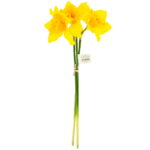 3 Narcise artificiale, Zakupytv, 40cm,